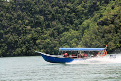 race