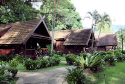 taman